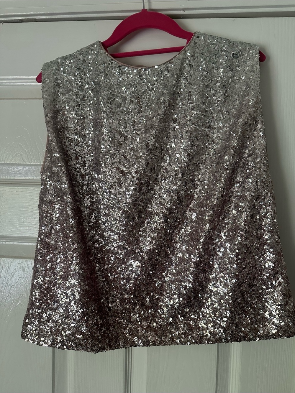 Anthropologie Silver Sequin Sleeveless Tank